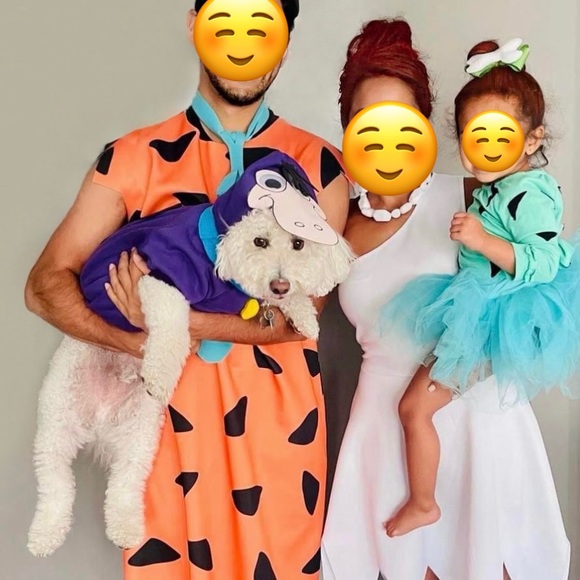 Other - Dino the dog Flintstones Halloween costume